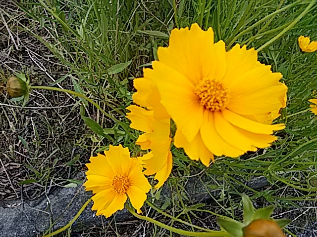 f0231709_19491203.jpg