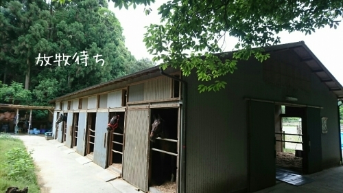 b0187620_19090987.jpg