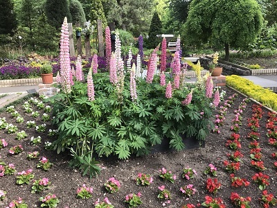 c0227720_23394649.jpg
