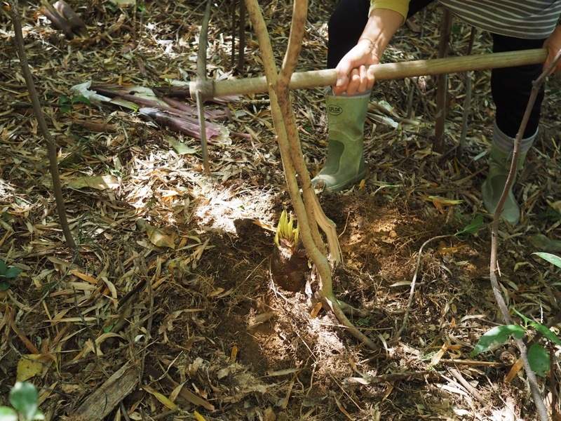 f0169147_20291202.jpg