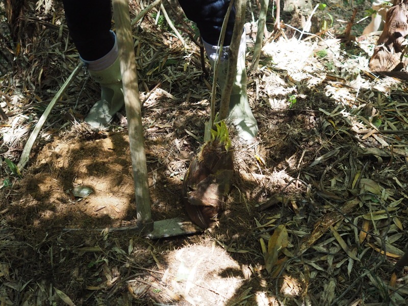 f0169147_20291398.jpg