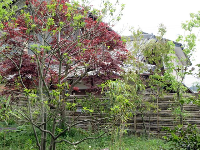 b0009849_15525988.jpg