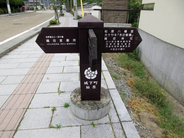 b0009849_1612435.jpg