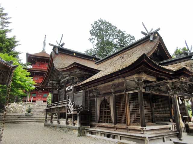 b0009849_18171740.jpg