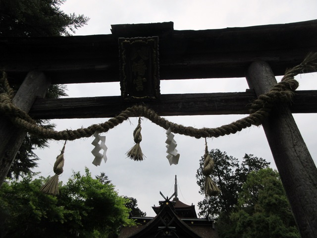 b0009849_18231826.jpg