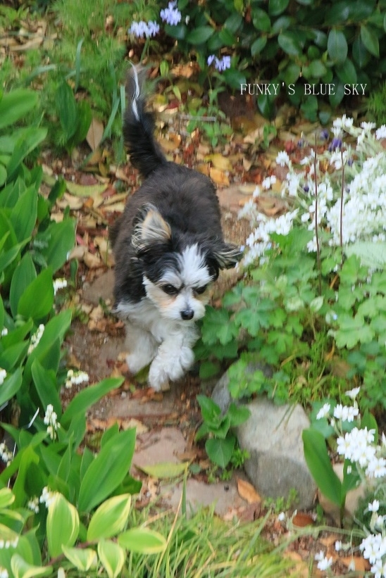 c0145250_10313659.jpg