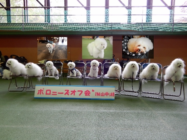 d0118050_21081723.jpg