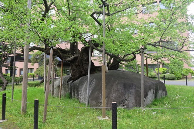 f0202151_21341235.jpg