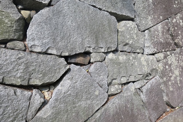 f0202151_21353018.jpg