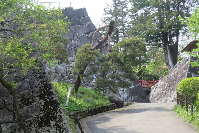 f0202151_21360061.jpg