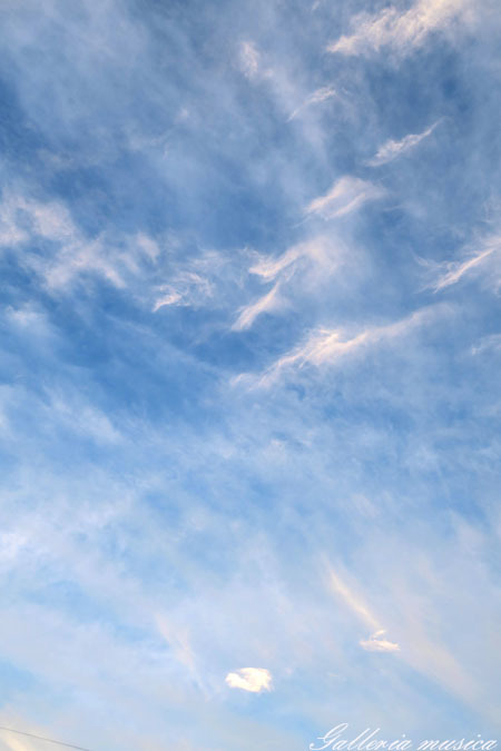 f0351853_03301532.jpg