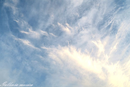 f0351853_03302691.jpg