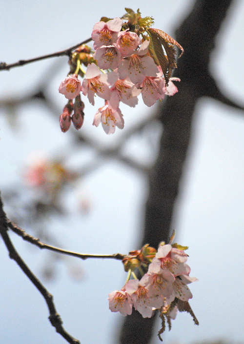 a0001354_23285815.gif