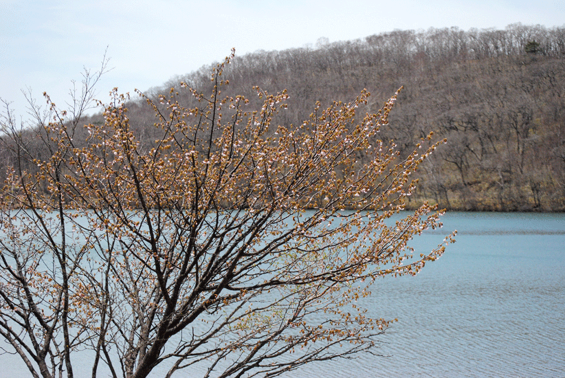 a0001354_23291322.gif