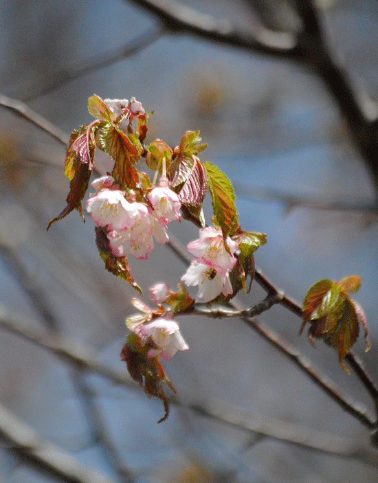 a0001354_23292584.gif
