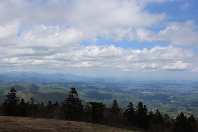 e0239458_22582444.jpg