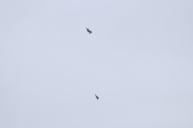 a0167759_036402.jpg