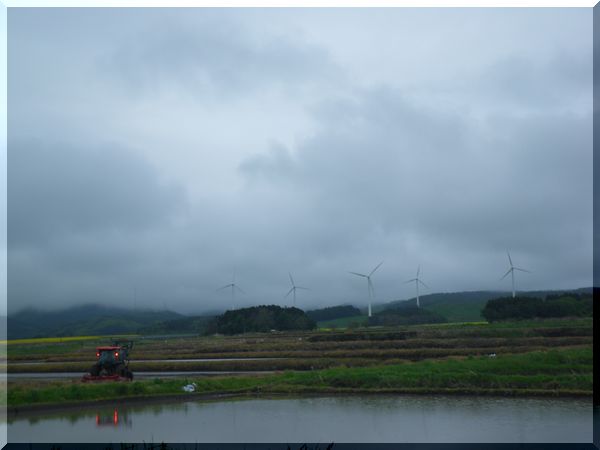 c0024861_1031669.jpg