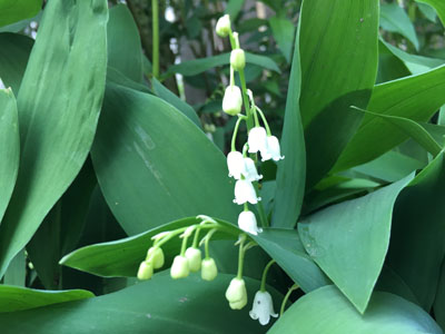 c0242063_91281.jpg