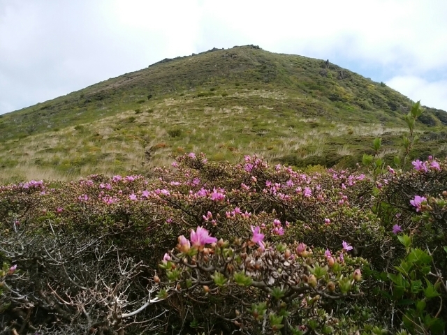 f0016066_13033870.jpg