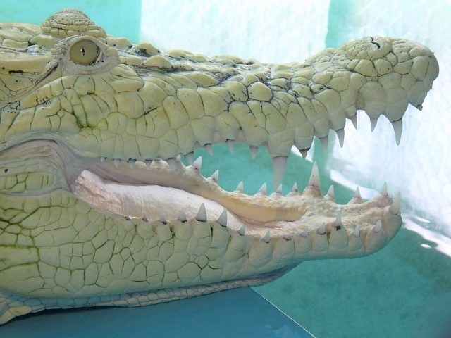 c0105569_00144530.jpg