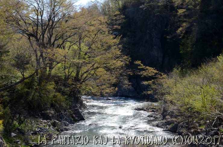 a0004070_19053210.jpg