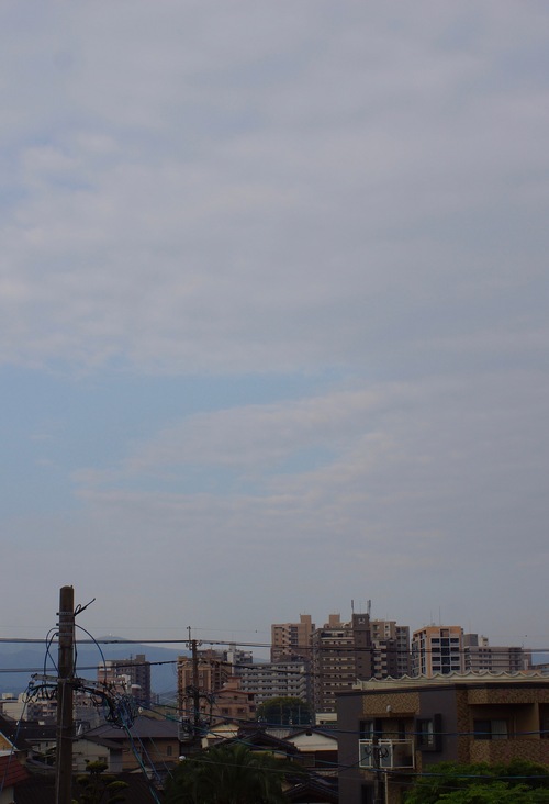 c0169176_805389.jpg