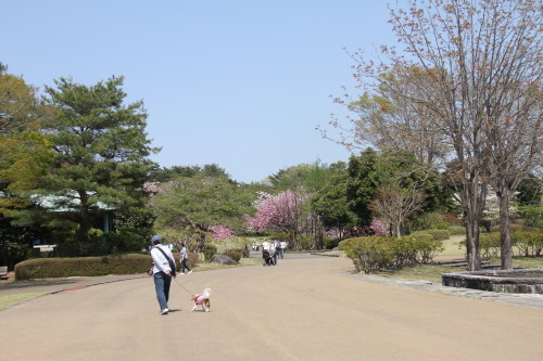e0114977_19432815.jpg