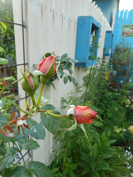 f0366679_029074.jpg