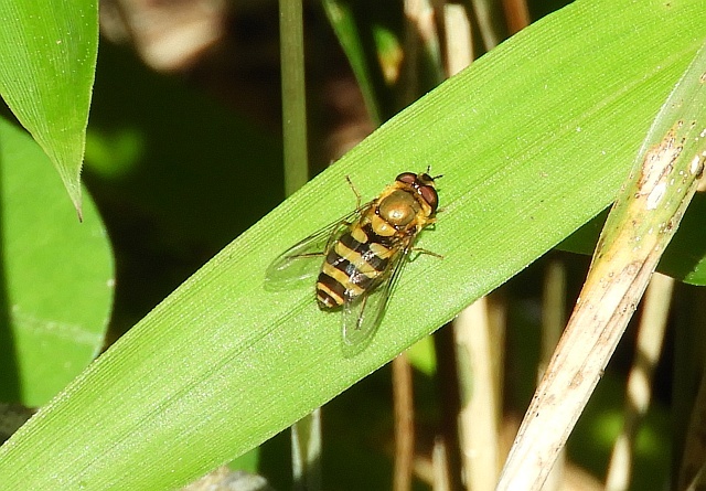 f0378979_19480050.jpg
