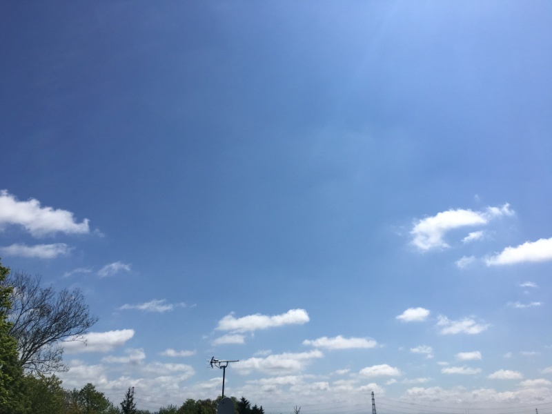 d0355681_10562589.jpg