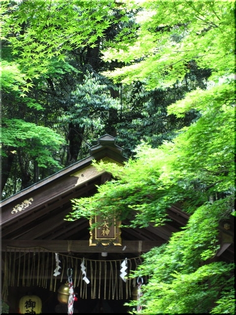 新緑の、京都 ～トロッコ嵐山駅周辺 - Que Sera *Sera