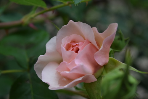 f0360784_10351095.jpg