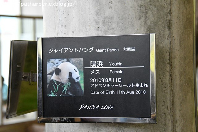 a0052986_7121995.jpg