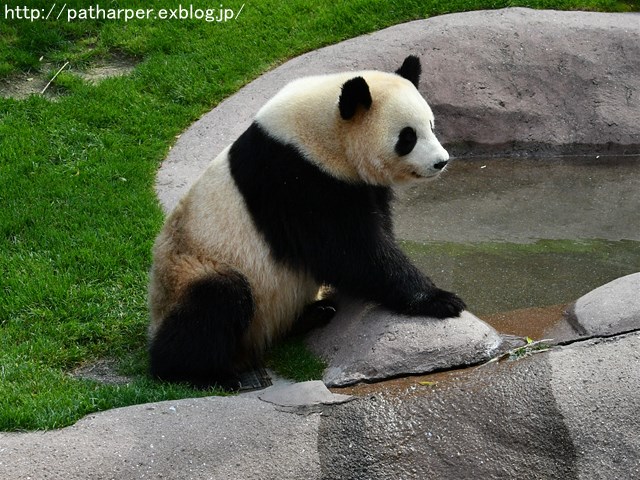 a0052986_7323890.jpg