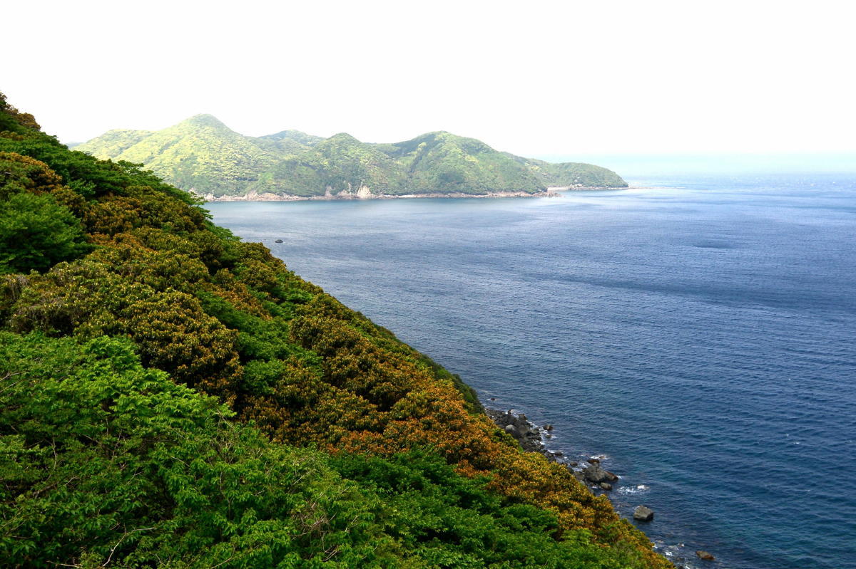 c0144588_14261860.jpg
