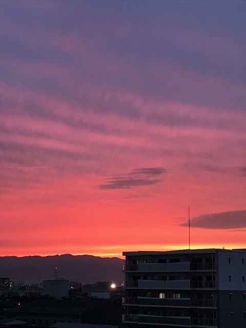 f0204295_14554098.jpg