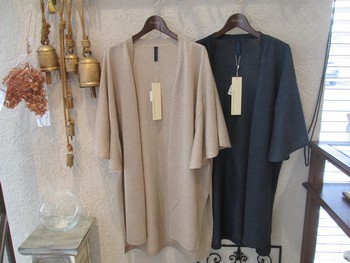 e0193499_20100345.jpg