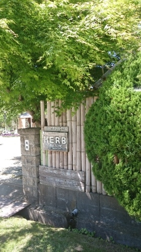 e0351303_22451651.jpg