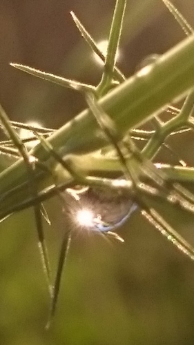 e0351303_23115980.jpg