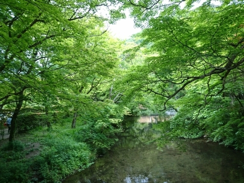 a0216805_07280359.jpg