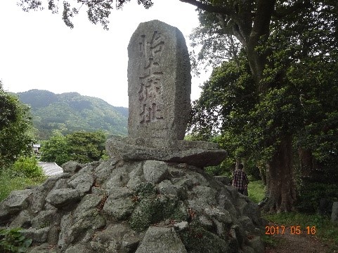 b0273309_2021683.jpg