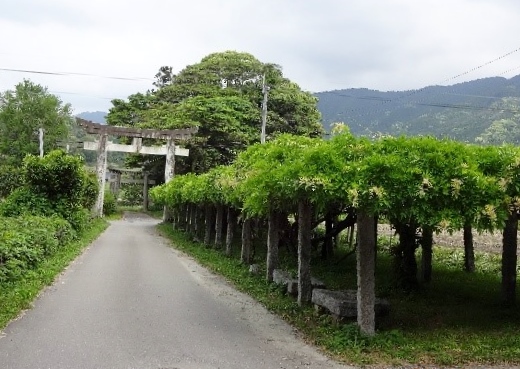 b0273309_2131684.jpg