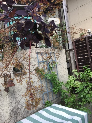 d0078312_22015241.jpg
