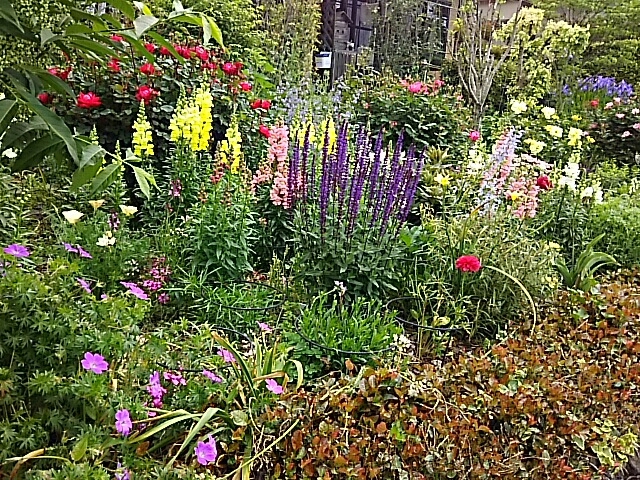 f0150612_10075040.jpg