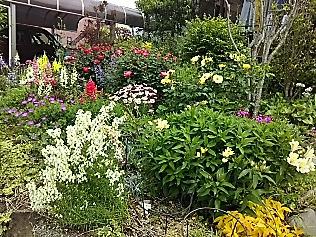 f0150612_10080752.jpg