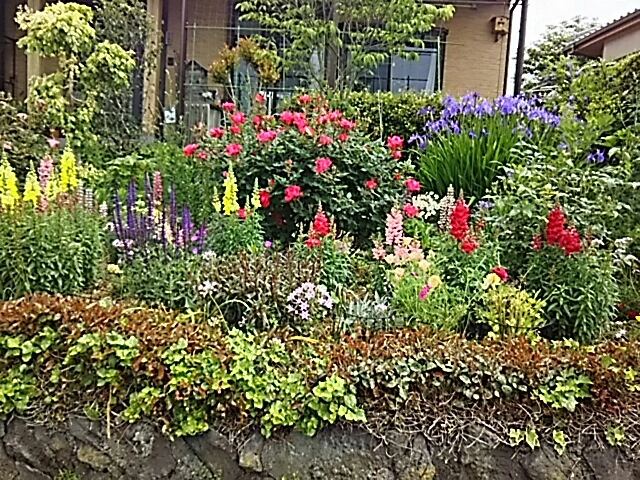 f0150612_10082524.jpg