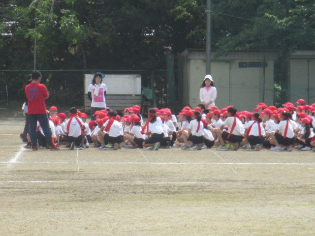 f0126014_09323489.jpg