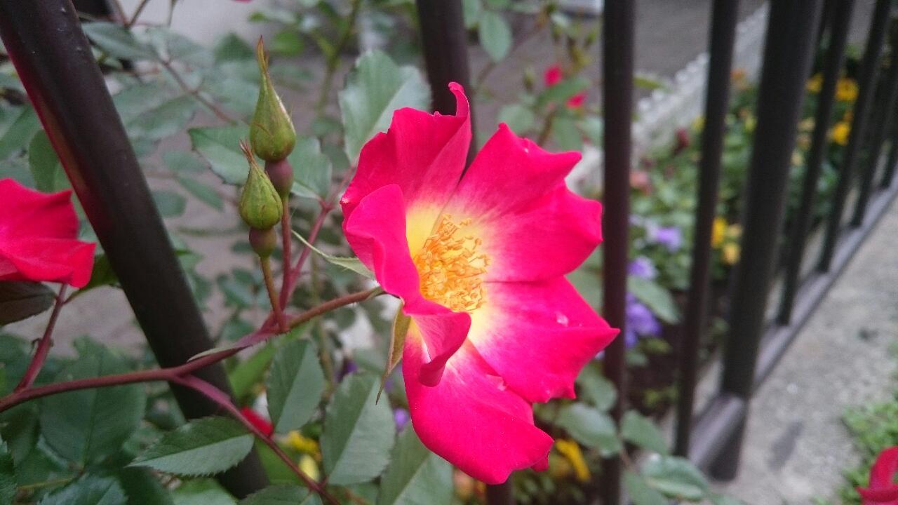 e0350415_00202914.jpg