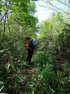 f0360815_16233514.jpg